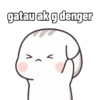 Kucing Cute Dua 12