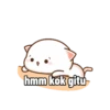 Meong Bucinn 13