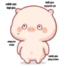 Babi gemoyy 7