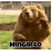 Masha and the bear 11