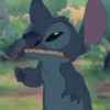 Stitch 11