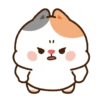 Kucing gemeyy 7