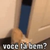 PRA PUXAR PAPO 🤪 13