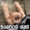 Animados New 7.0 9