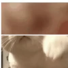 Cats 13