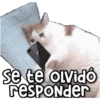 Animados PRO 1 🫂🧉 5