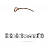 Meong Bucinn 6