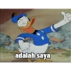 Donald duck 14