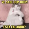 MEMES FELINOS 😺 11