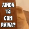 REAJA COM GATINHOS 😸🐈 8