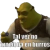 Shrek Animado I 🐸🧅😼 7