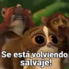 Memes Graciosos 2😂🤣✨ 8