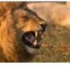 FUNNY REACTIONS 9