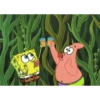 Bob Esponja Animado 19