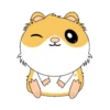 Hamsters 🐹✨ 11