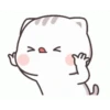 Meong Bucinn 10