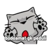 Meowww 11