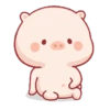 Babi gemoyy 13