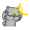 Meowww 15