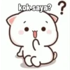 Peach Cat (5) 6