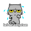 Meowww 6