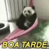 MEMES ALEATÓRIOS 😁😛 11