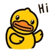 Male Duck 10