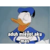 Donald duck 7