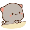 Kucing Gemoy 10