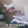 Deboche&memes 11