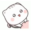 Gemes 29