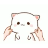 Meong Bucinn 15