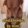 PRA PUXAR PAPO 🤪 6