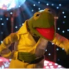 Muppets Random😎🤯 12