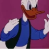 PATO DONALD 🔵 10