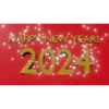 Happy New Year 17