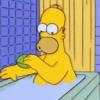 The simpsons 16