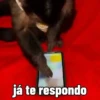 🐒 aquela do macaquinho 19