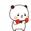 Panda putih 11