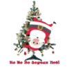 Natal 14
