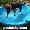 🐶 Catiorríneos Fofíneos 27