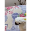 ZEZÉ CACATUA 💛 7
