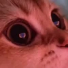 Funny Reactions 14