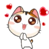 ¡Adorables!~GIFS🥰 19