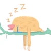 😴💤A dormir💤😴 8