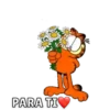 Garfield🐱🧡 11