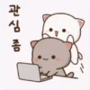 Bubududu 24
