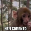 🐒 aquela do macaquinho 5