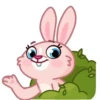 Pink bunny 13
