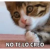 NO TE LO CREO